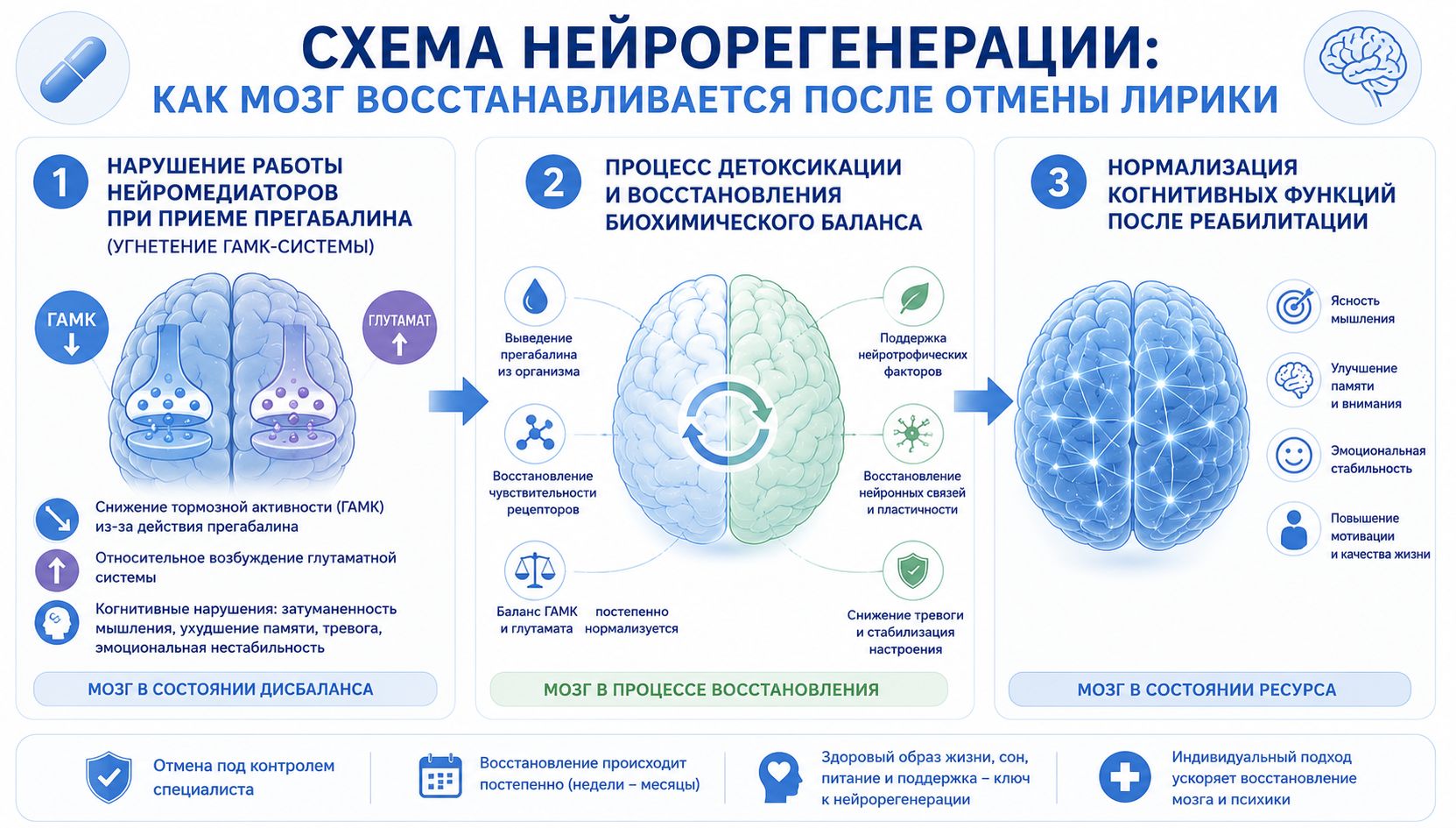 Схема нейрорегенерации